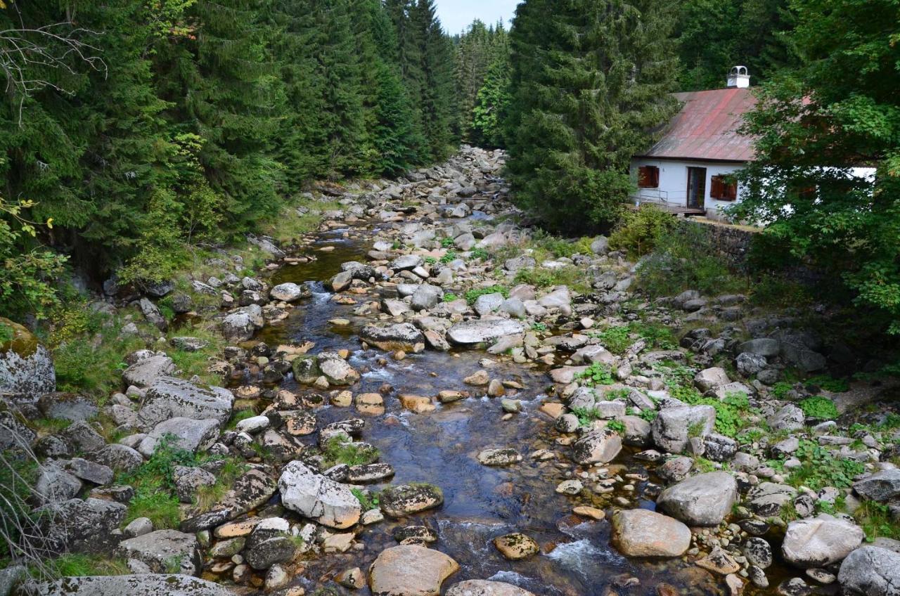 Chata - Sport - Ski Kořenov Buitenkant foto