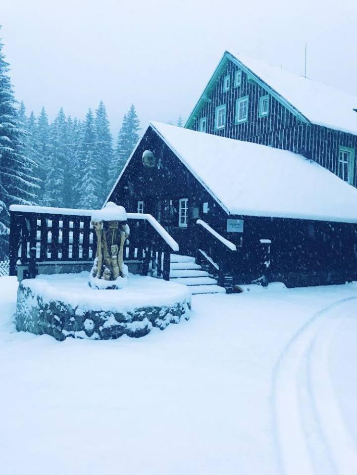 Chata - Sport - Ski Kořenov Buitenkant foto